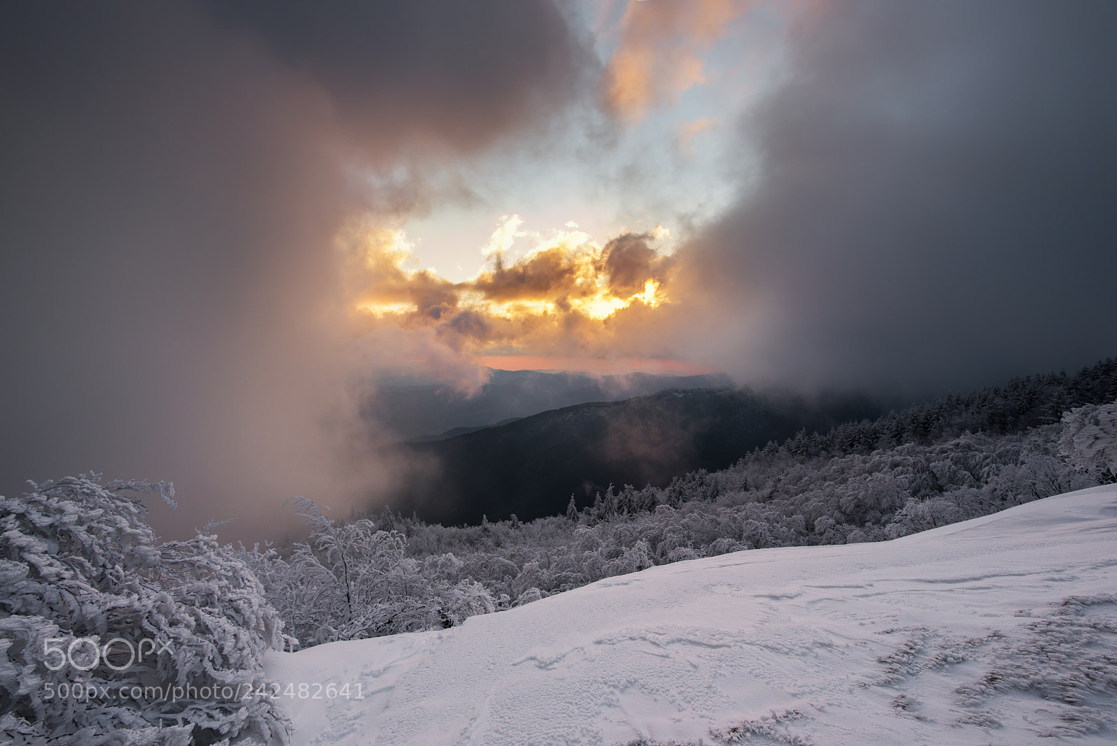 Nikon D610 sample photo. Ciaspolata in appennino photography