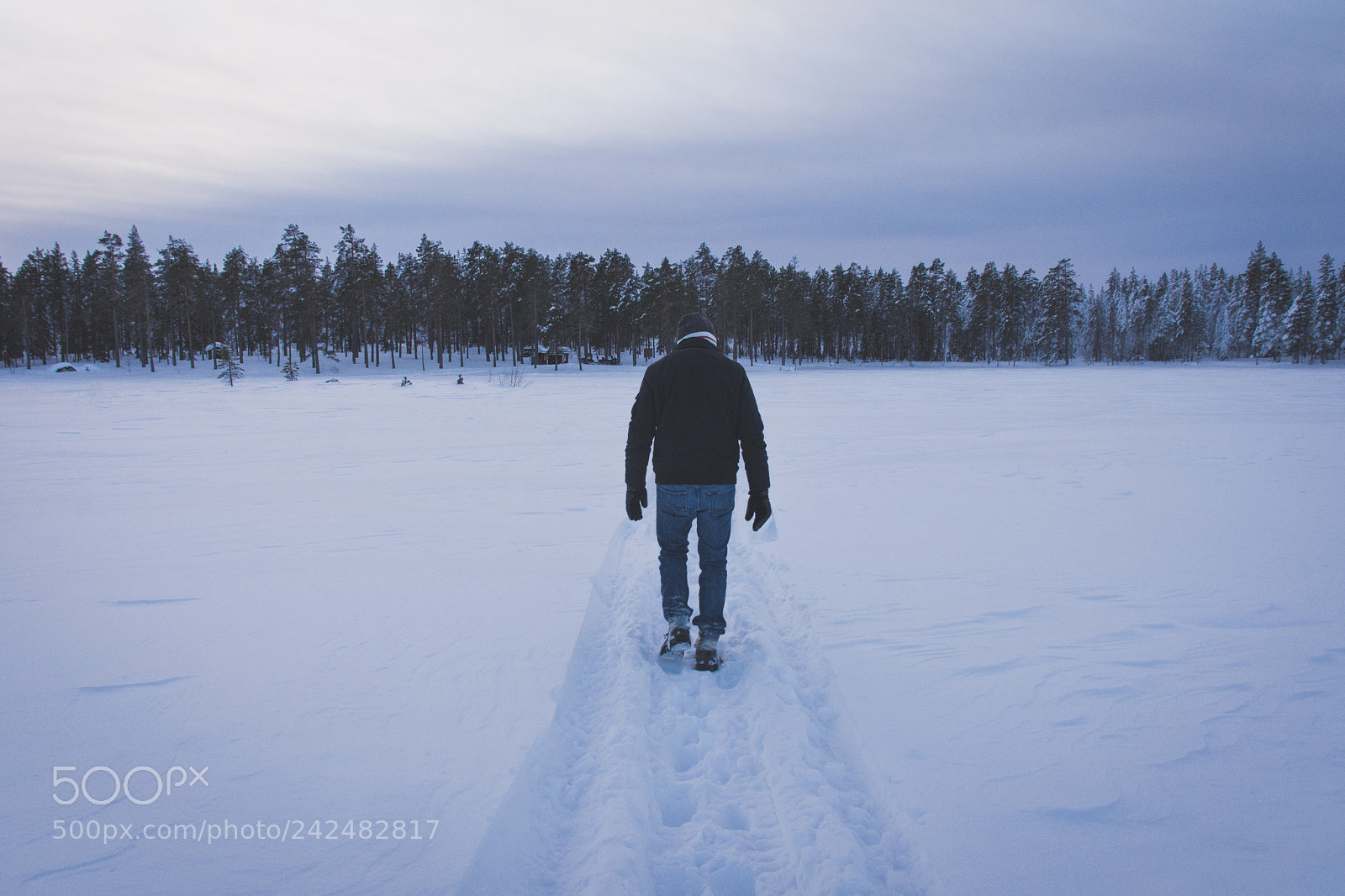 Nikon D7200 sample photo. Snow photography