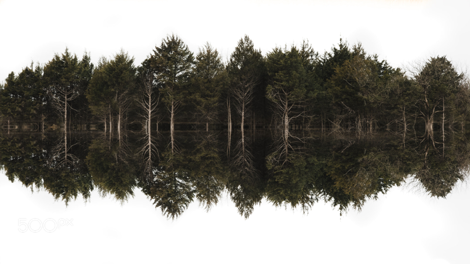 Nikon D810 sample photo. Dissociation photography