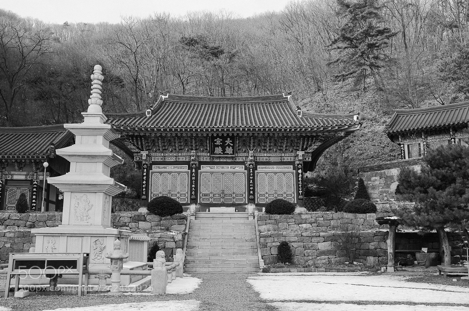 Fujifilm FinePix X100 sample photo. #후지필름 #후지피플 #후지카메라 #후지x100 #x100 #fujix100 #후지 #fu ... photography