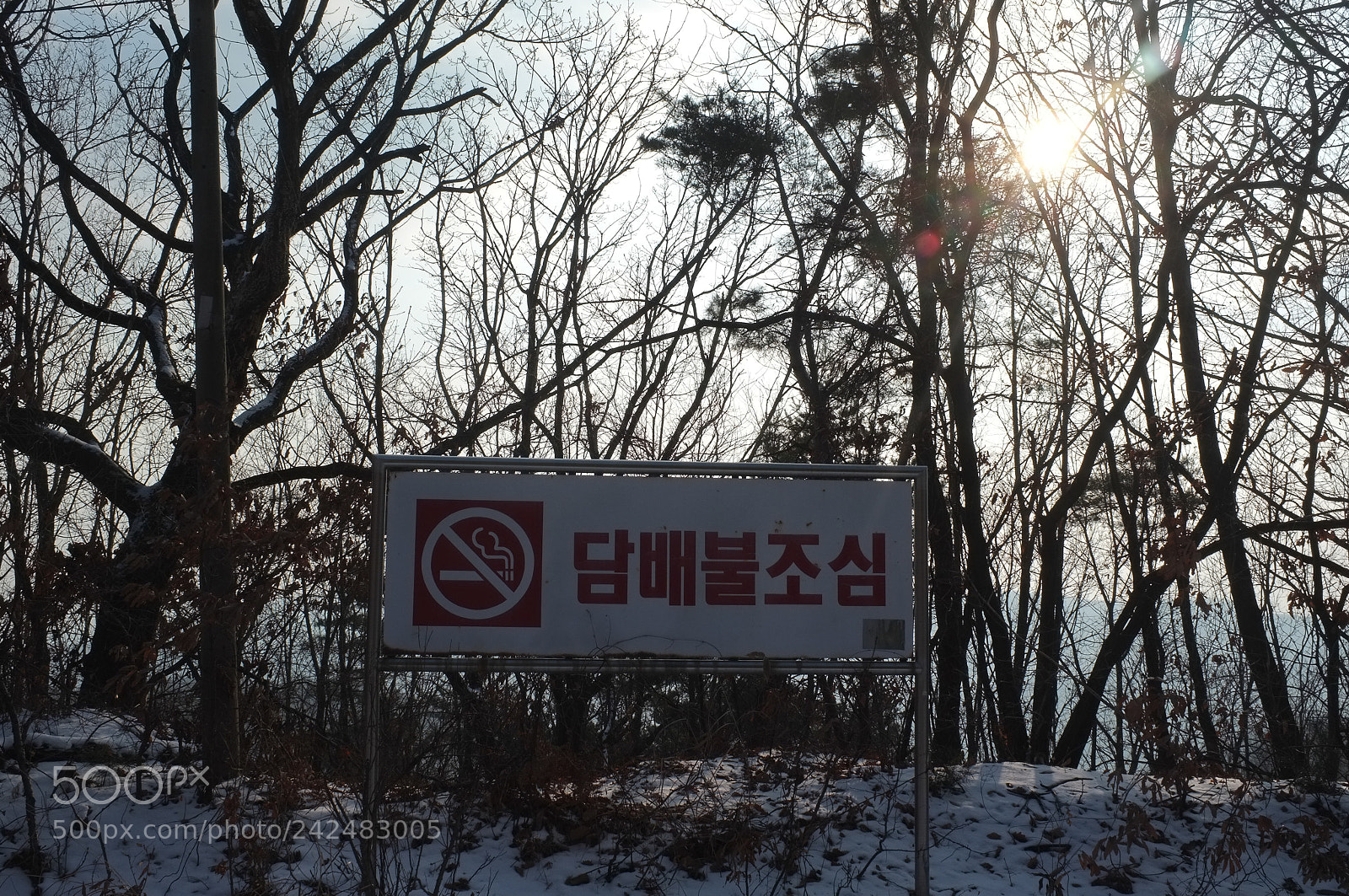 Fujifilm FinePix X100 sample photo. #후지필름 #후지피플 #후지카메라 #후지x100 #x100 #fujix100 #후지 #fu ... photography