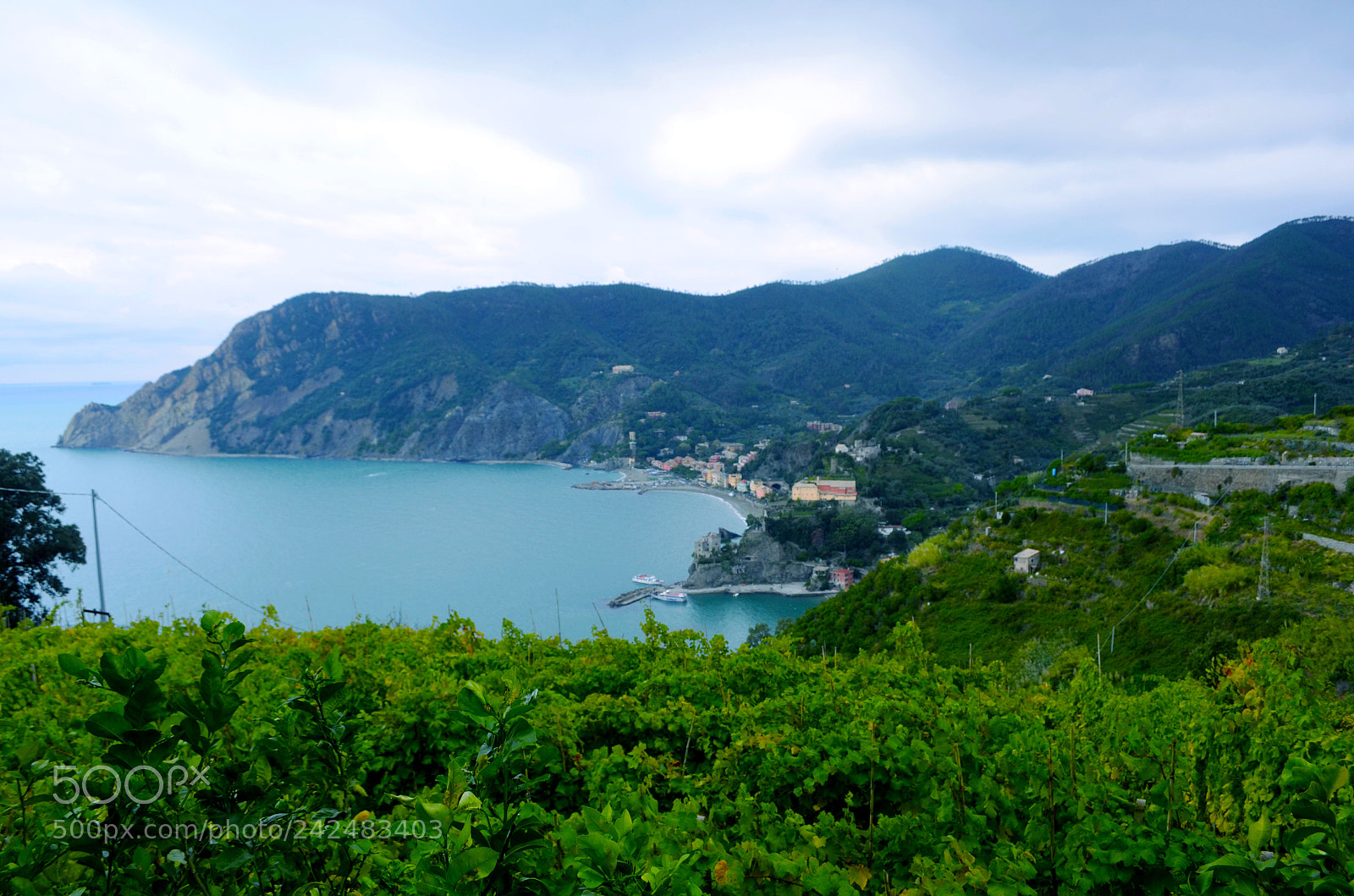 Nikon D5100 sample photo. Green and blue photography