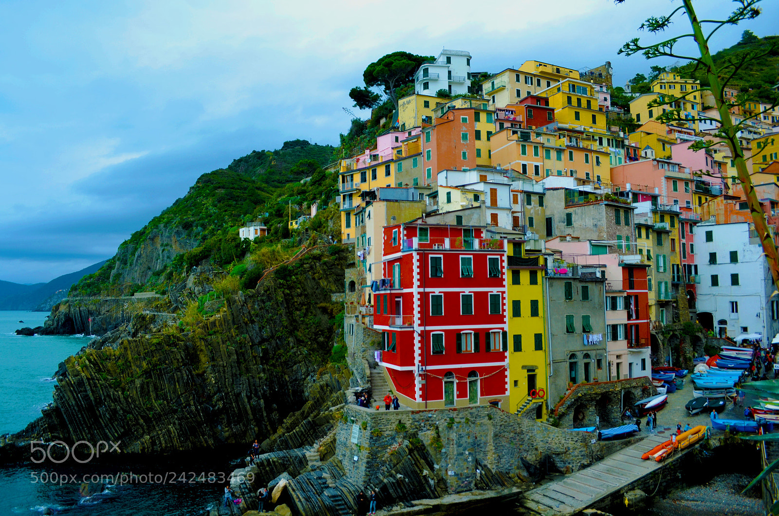 Nikon D5100 sample photo. Cinque terre riomaggiore photography