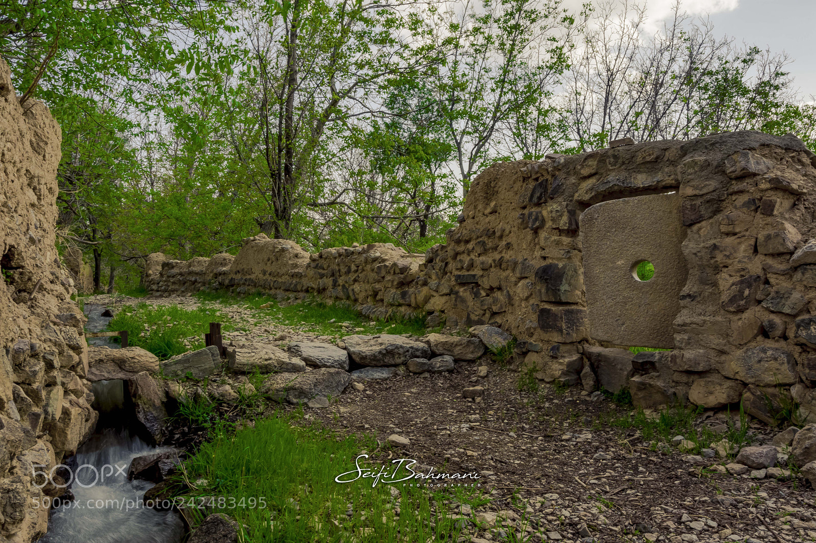 Nikon D7200 sample photo. Untitled photography