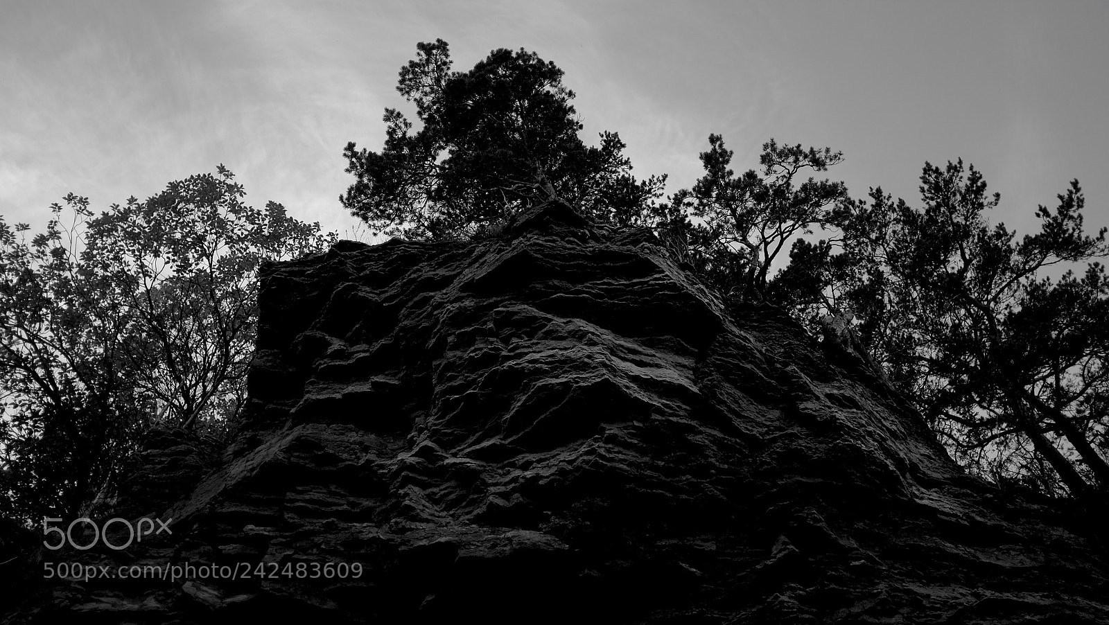 Fujifilm X100T sample photo. Untitled photography