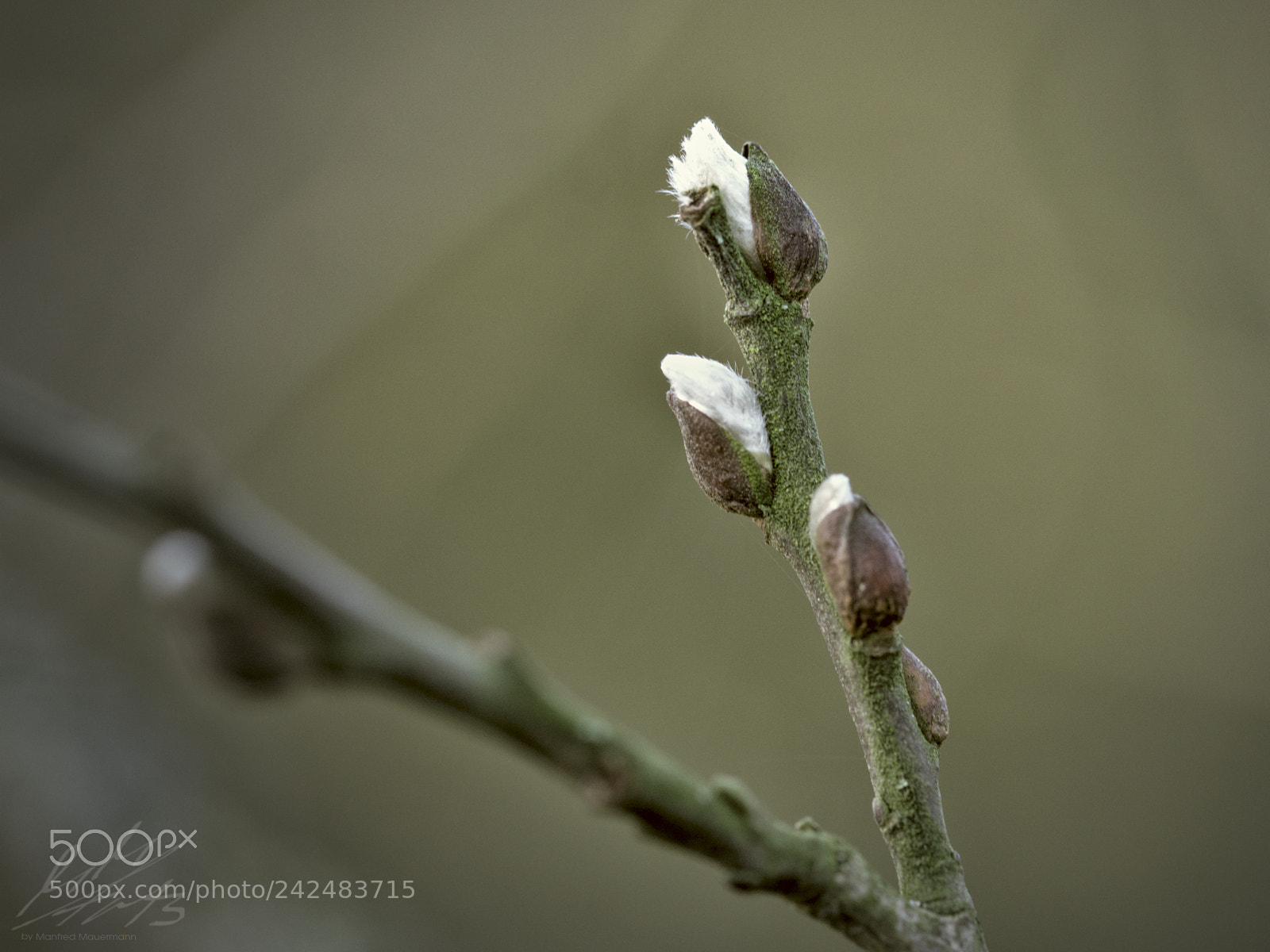Nikon D90 sample photo. Too early photography