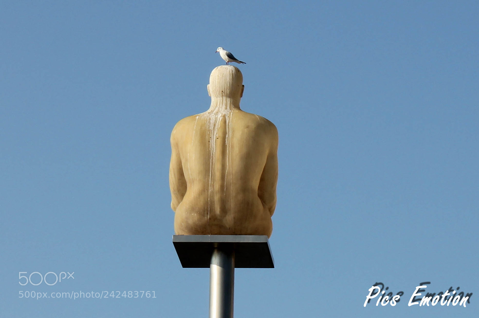 Canon EOS 550D (EOS Rebel T2i / EOS Kiss X4) sample photo. Modern art photography