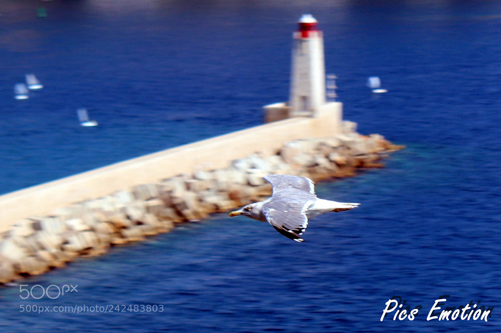Canon EOS 77D (EOS 9000D / EOS 770D) sample photo. I'm flying photography