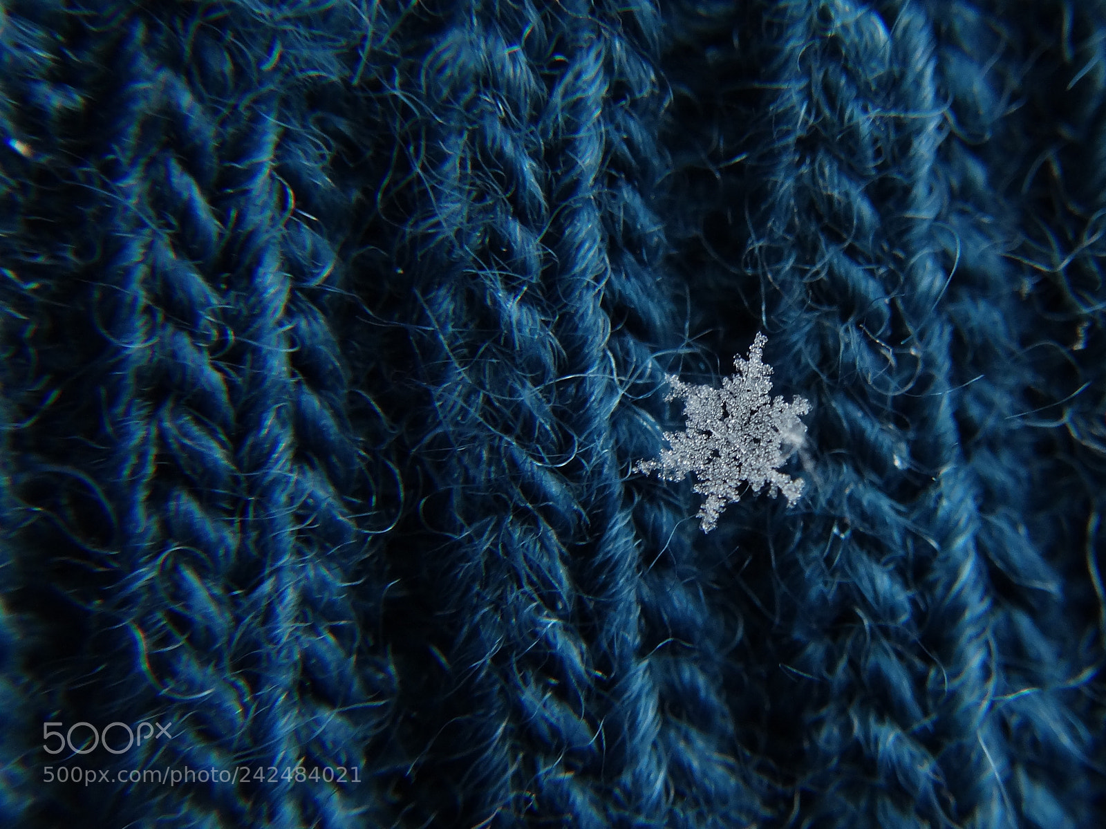Sony Cyber-shot DSC-HX300 sample photo. Snow photography