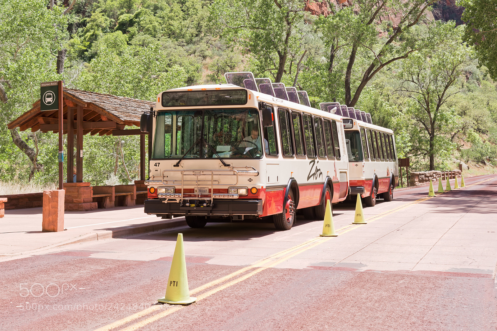 Nikon D800 sample photo. Excursions in the zion photography