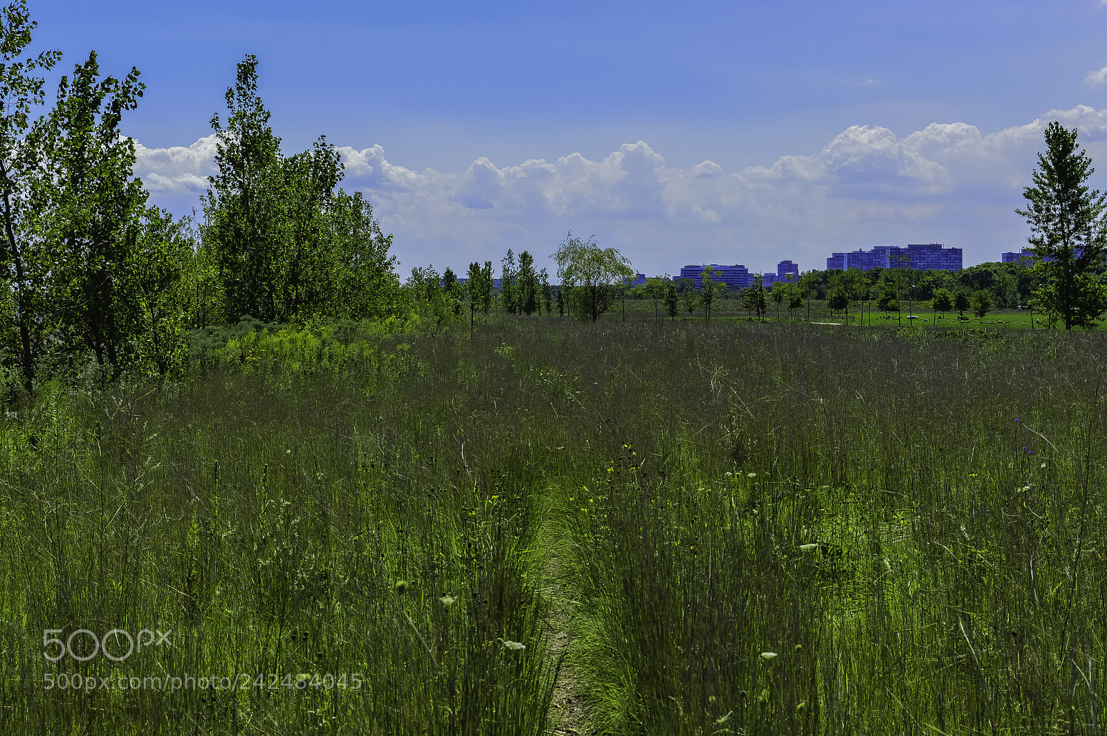 Nikon D3200 sample photo. Offthebeatenpath photography