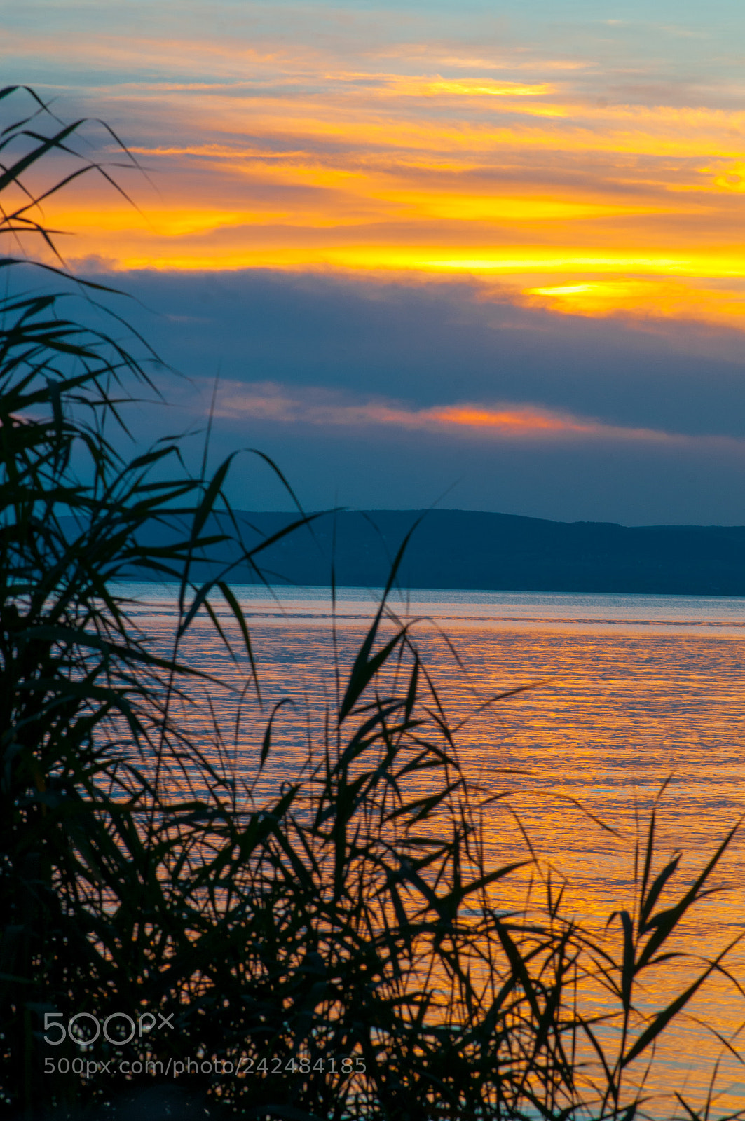 Nikon D300 sample photo. Balaton lake photography