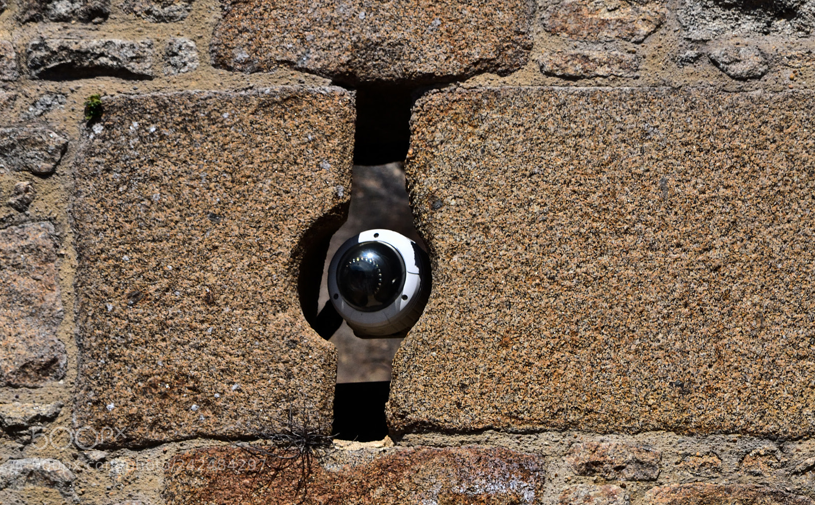 Nikon D3100 sample photo. Walls have eyes! photography