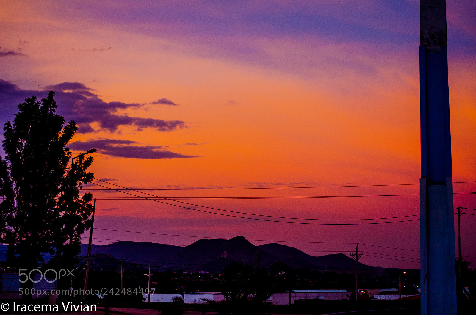 Nikon D5100 sample photo. Untitled photography