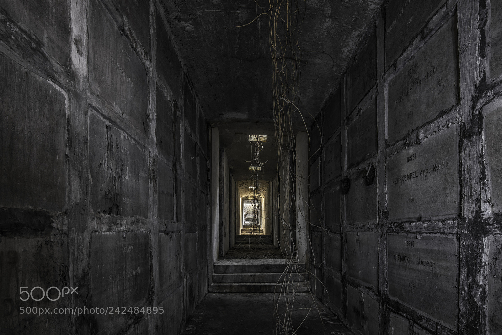 Nikon D810 sample photo. Crypte photography