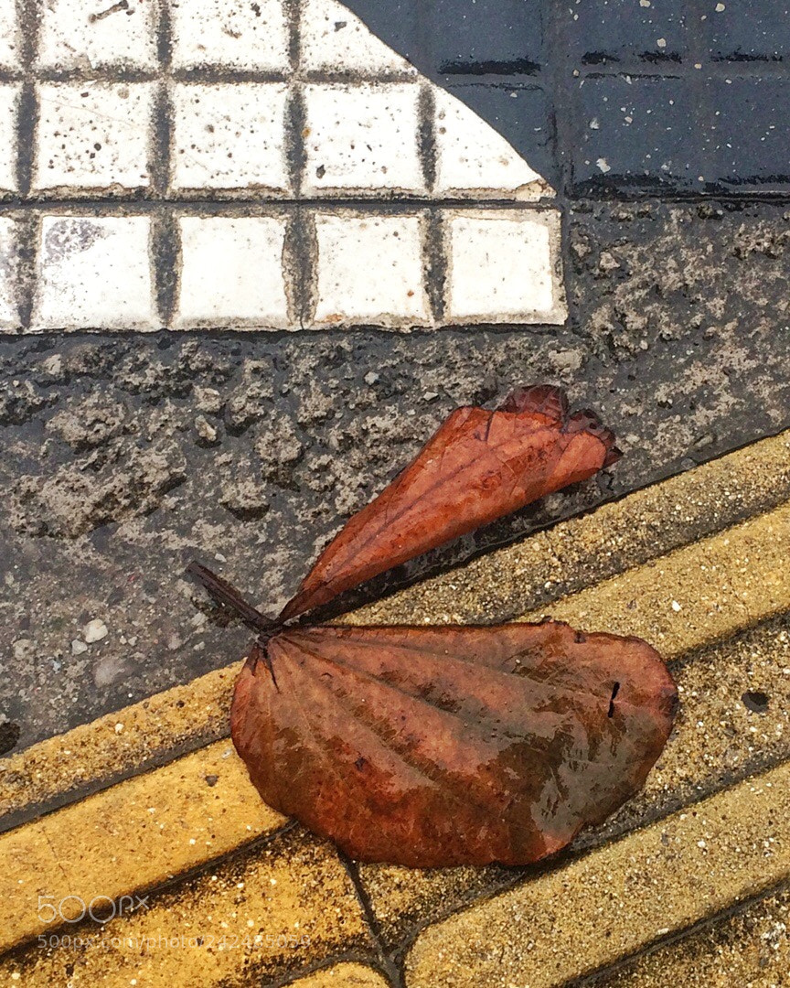Apple iPhone 5s sample photo. Untitled photography
