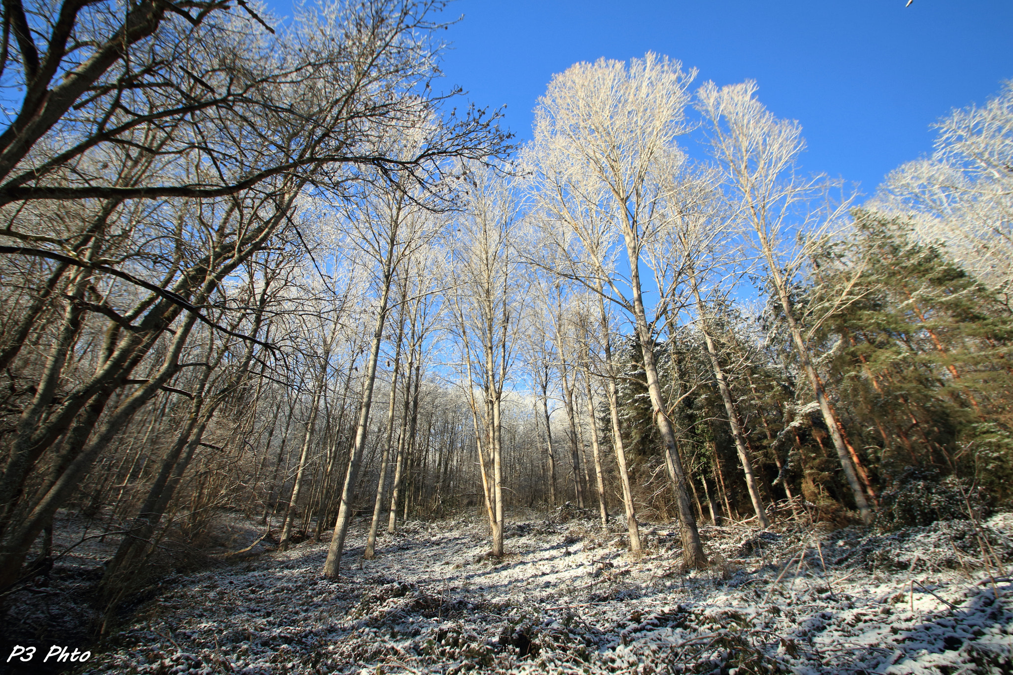 Sigma 10-20mm F3.5 EX DC HSM sample photo. Img photography
