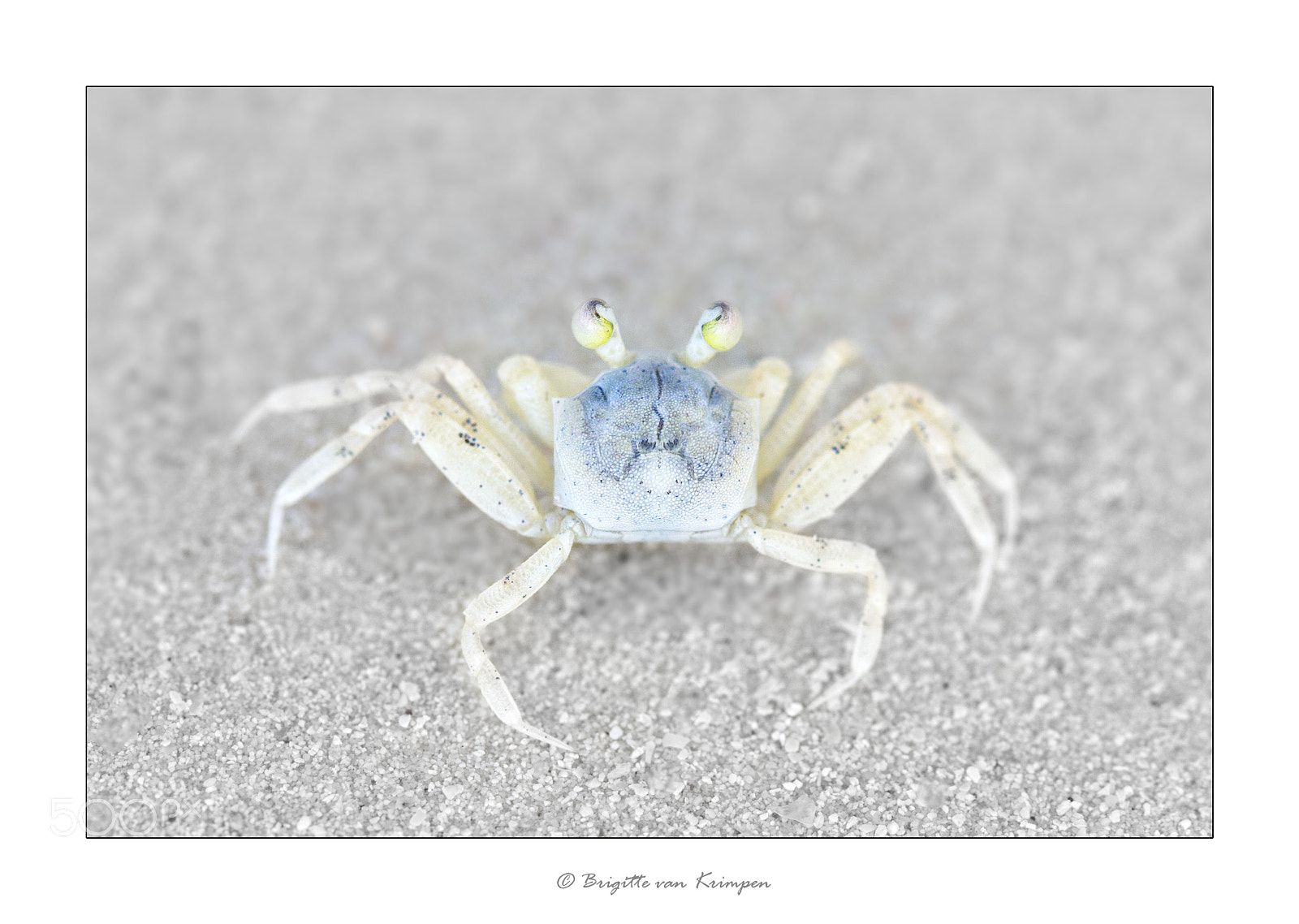 Canon EOS 60D sample photo. African sea world i photography