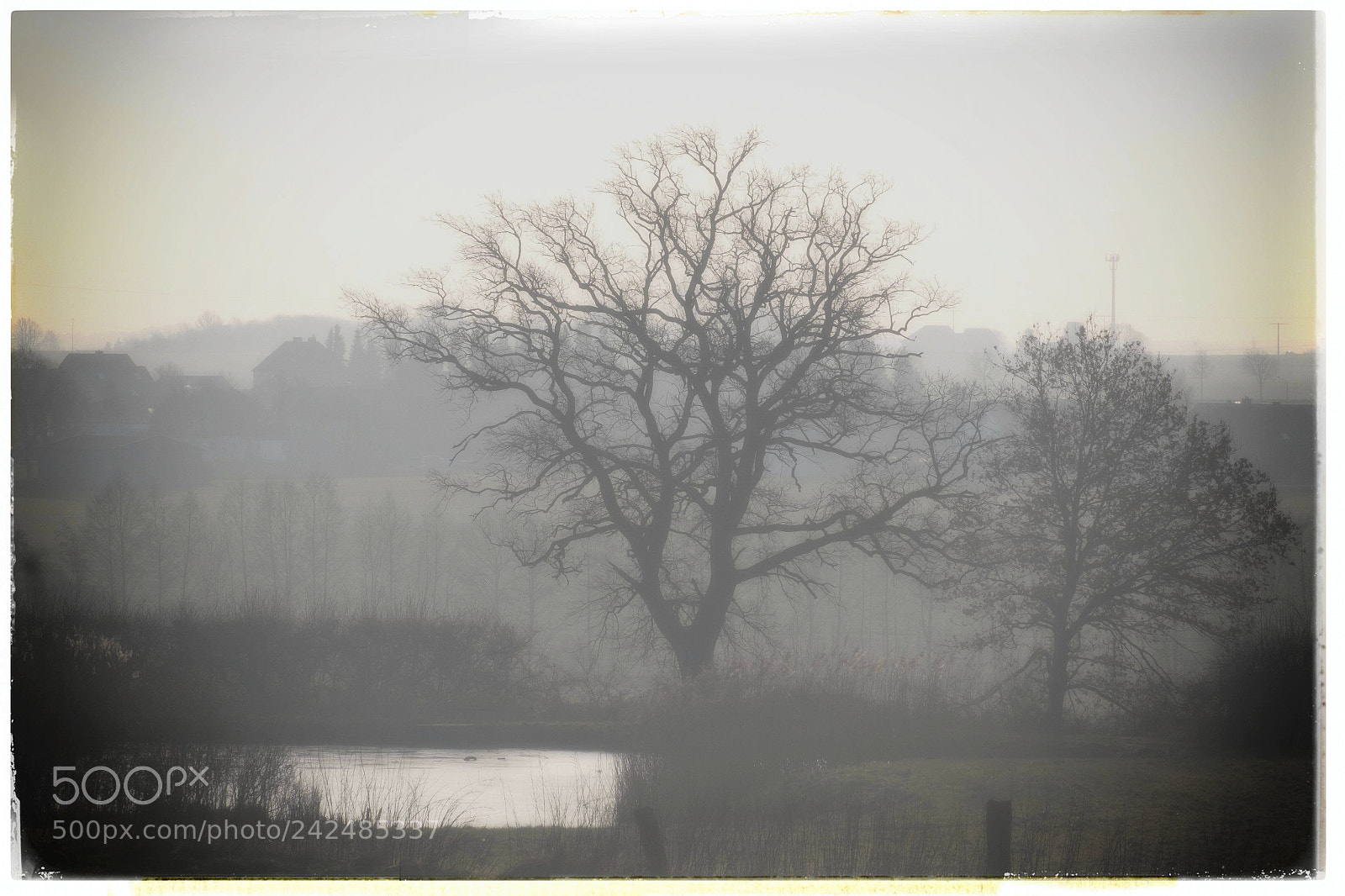 Fujifilm X-E2 sample photo. Foggy morning photography