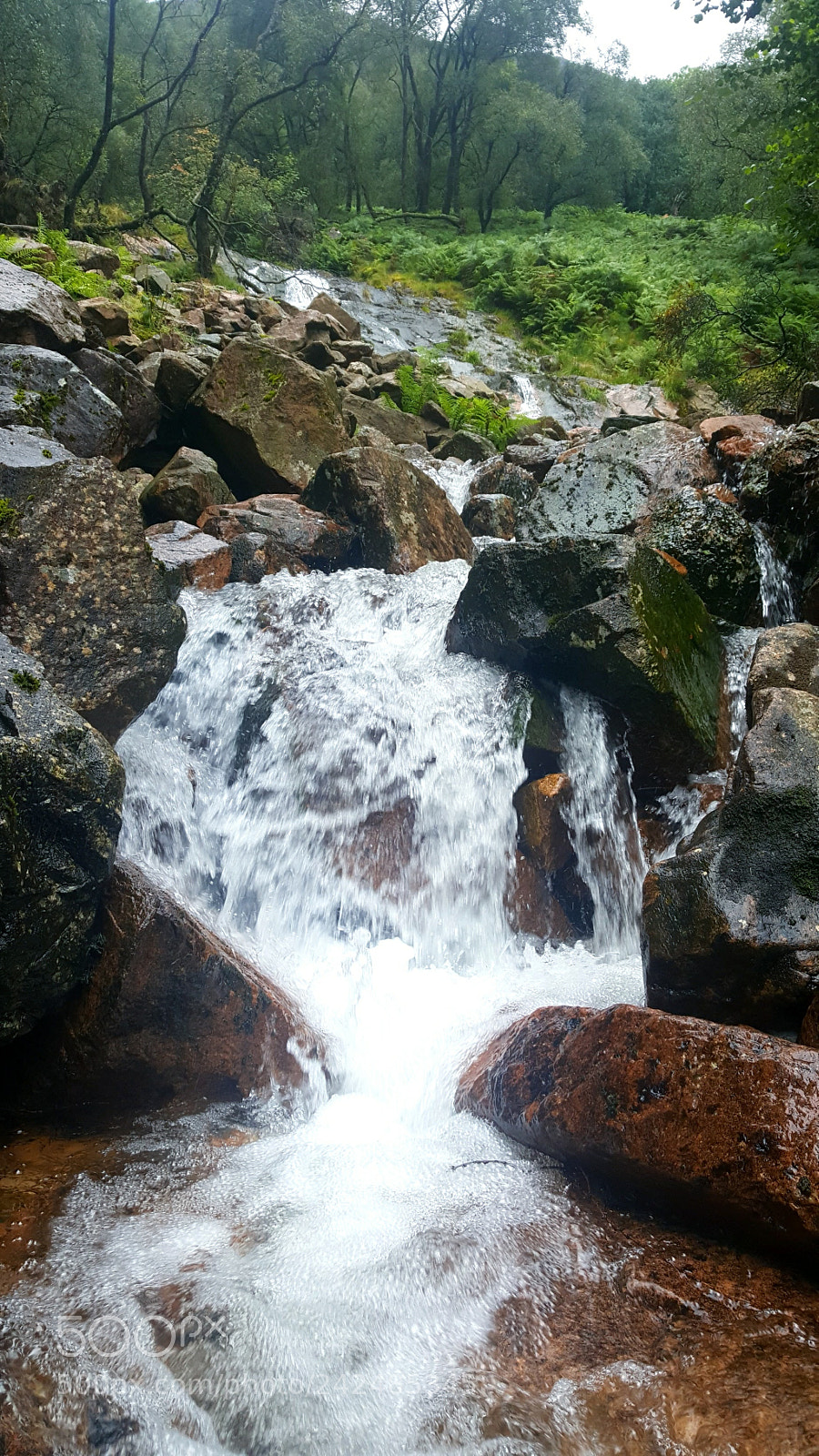 Samsung Galaxy S6 sample photo. Untitled photography