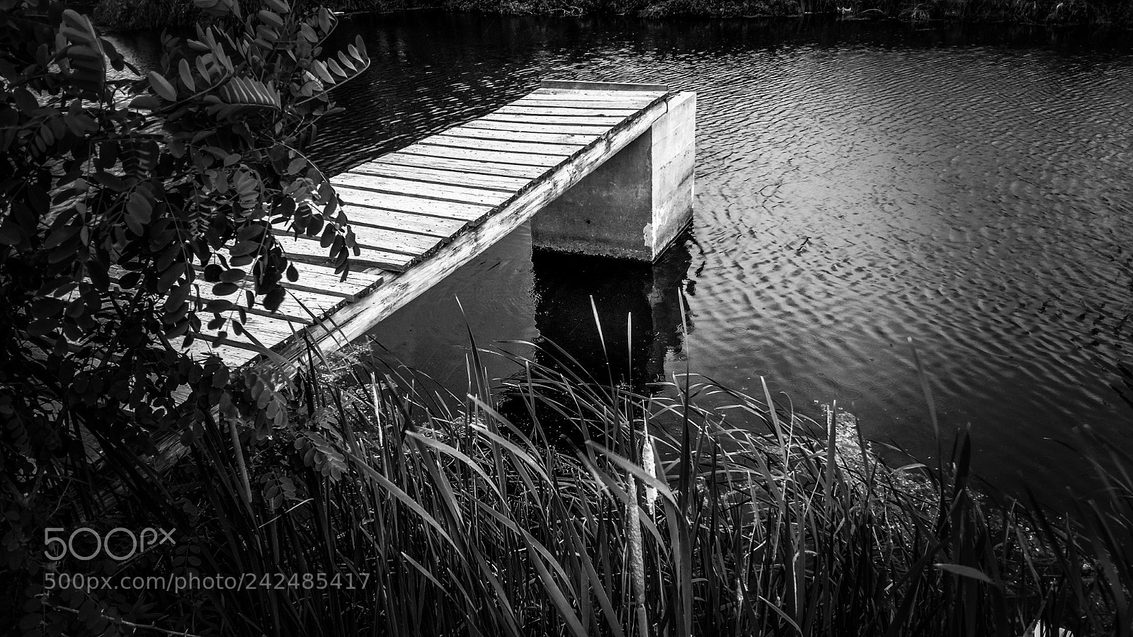 Motorola XT1650 sample photo. Bass fishing photography