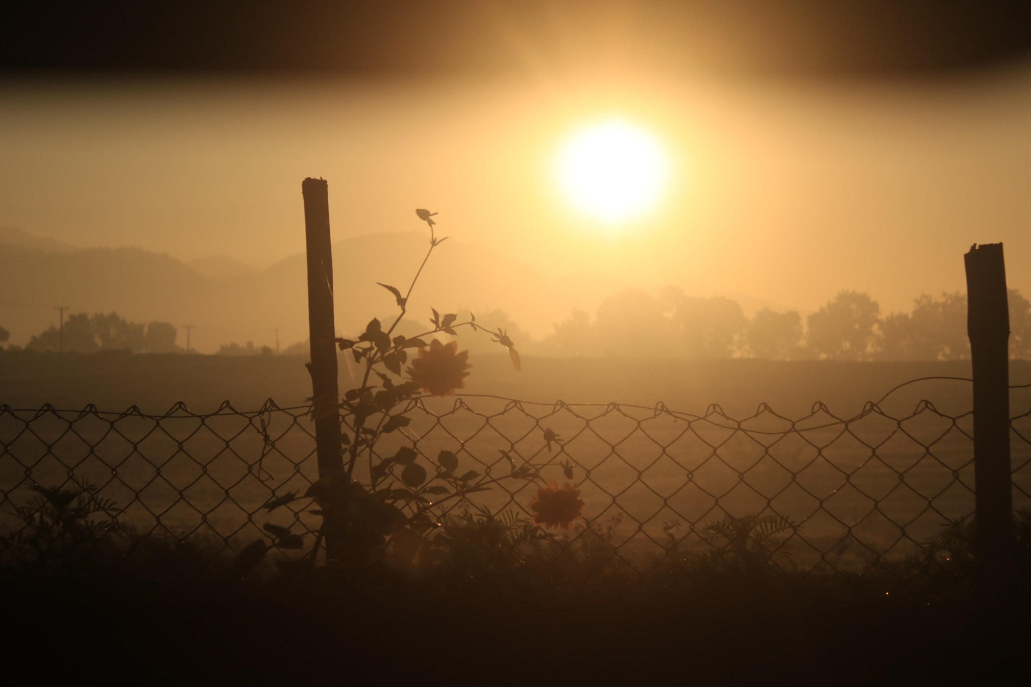 Canon EOS 750D (EOS Rebel T6i / EOS Kiss X8i) sample photo. Img photography