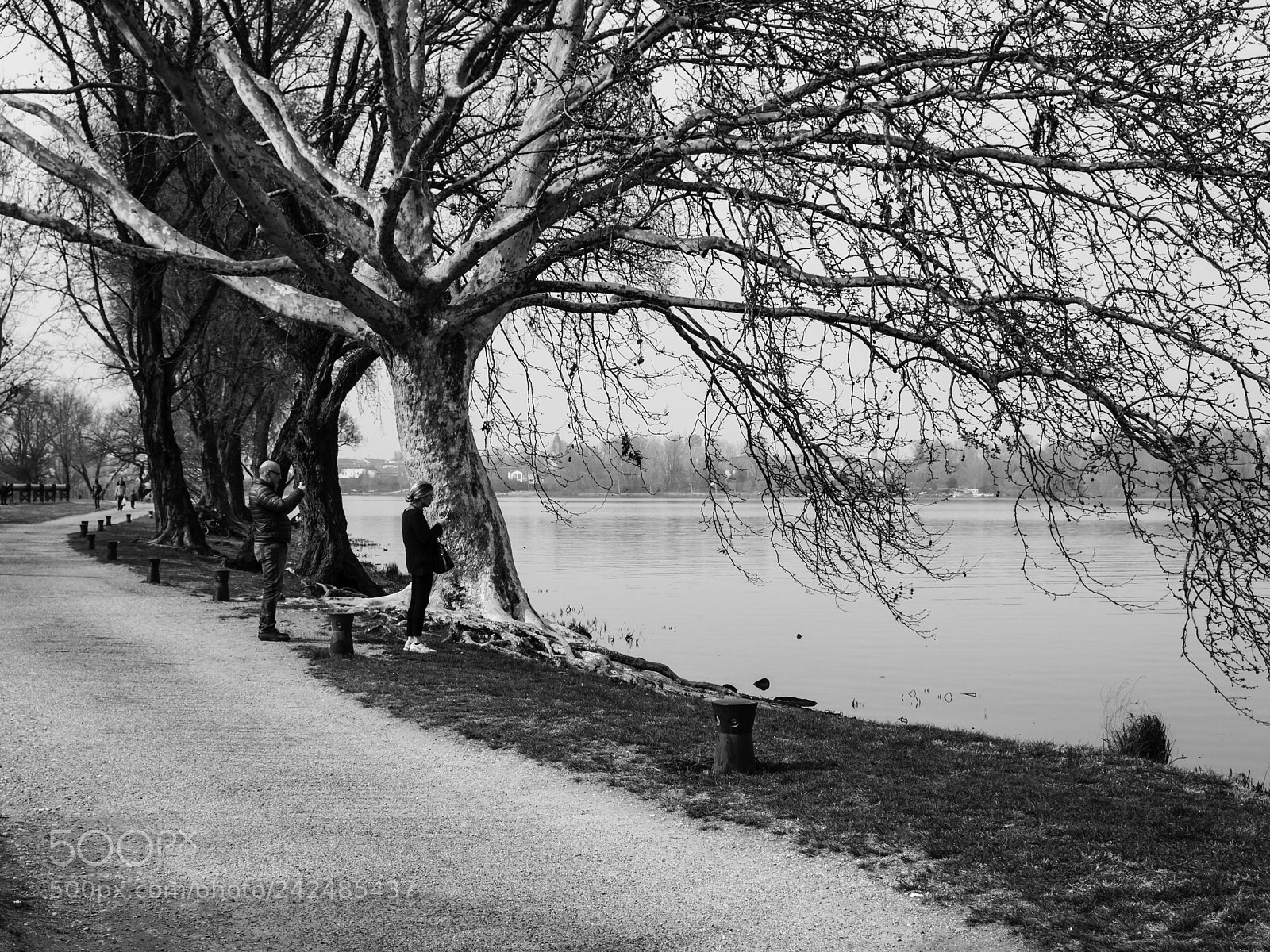 Olympus OM-D E-M10 II sample photo. Mantova - laghetti photography