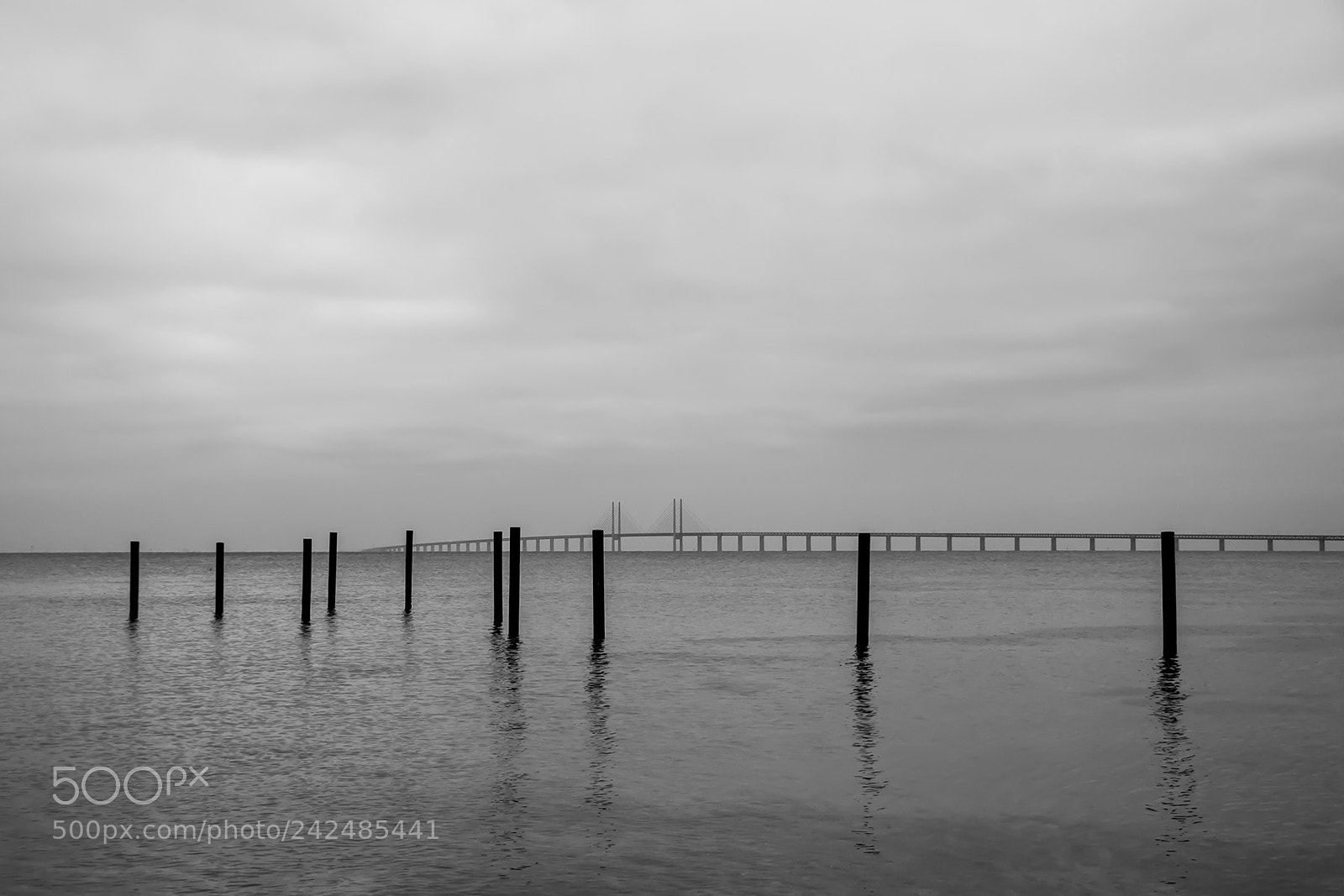 Nikon D800 sample photo. Oresund bridge photography