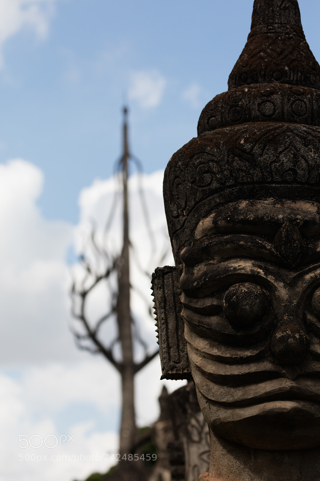 Canon EOS 5DS R sample photo. Wat xieng khuan buddha photography