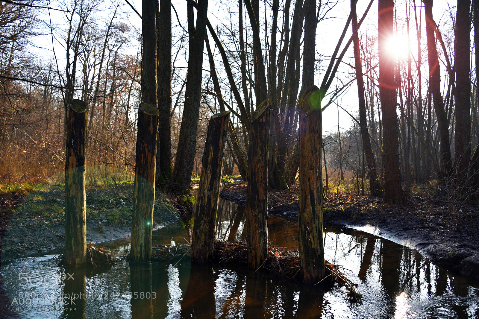 Nikon D7200 sample photo. River reflection photography