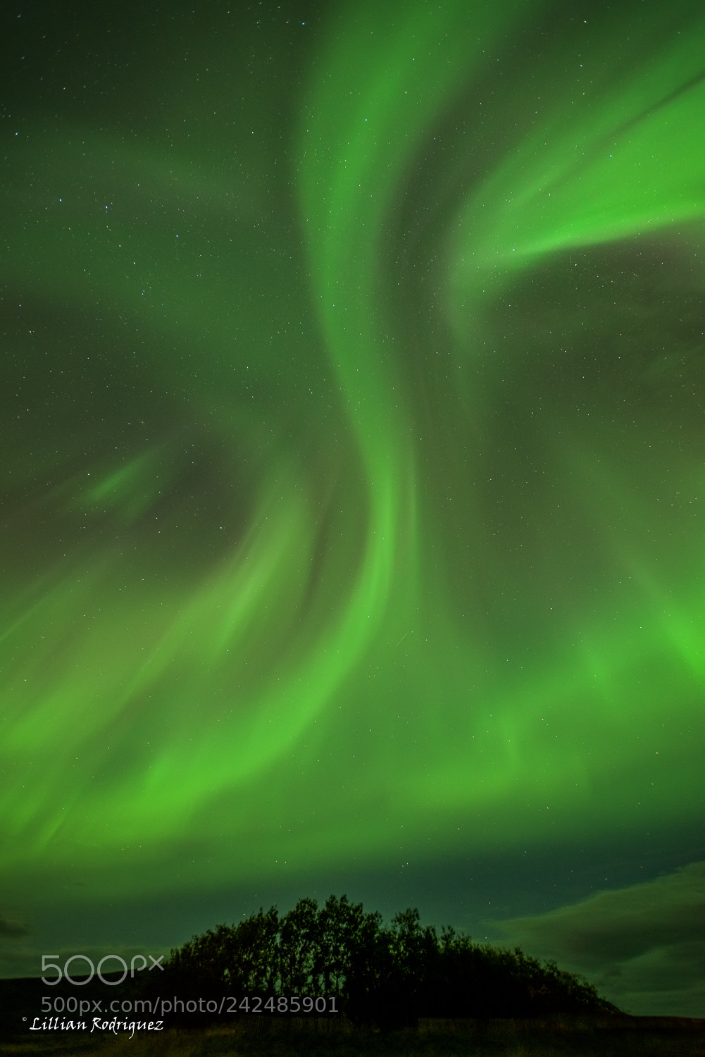 Nikon D810 sample photo. Geomagnetic storm kp6 photography