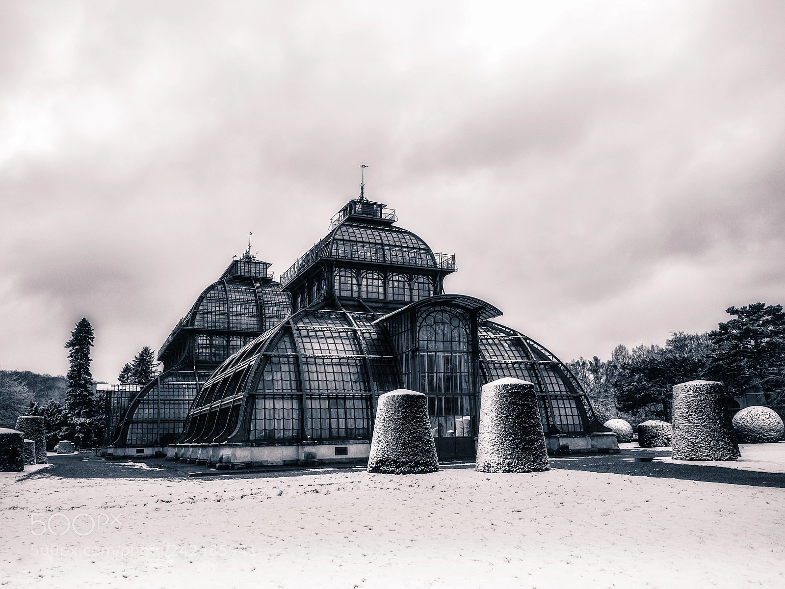 Olympus OM-D E-M5 II sample photo. Palm house in winter photography