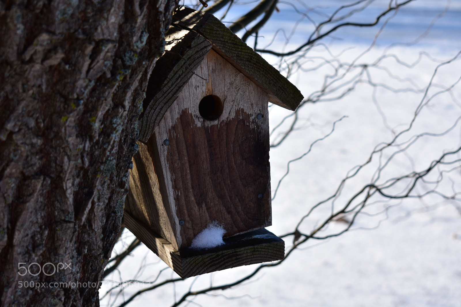 Nikon D3400 sample photo. Winter home photography