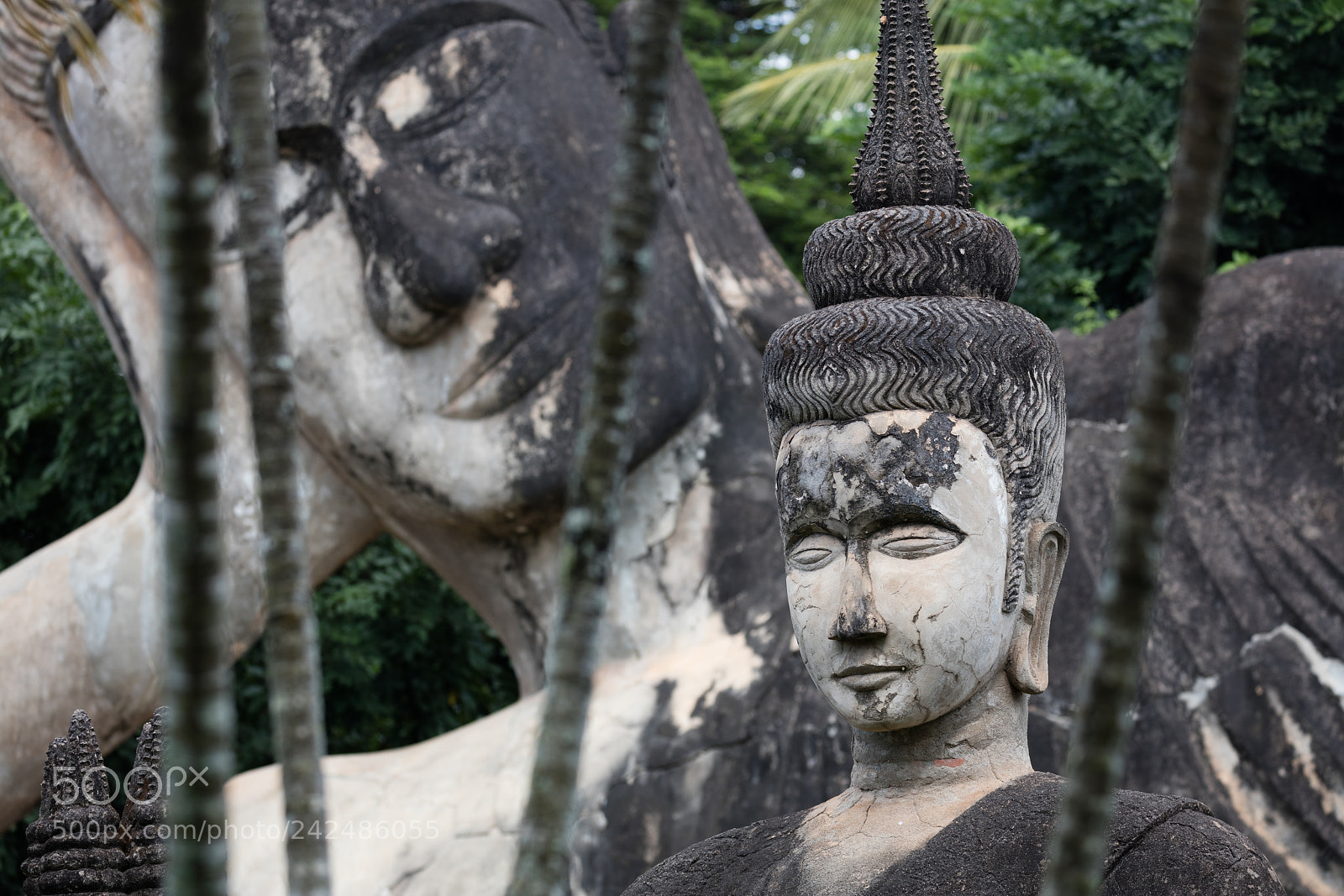Canon EOS 5DS R sample photo. Wat xieng khuan buddha photography