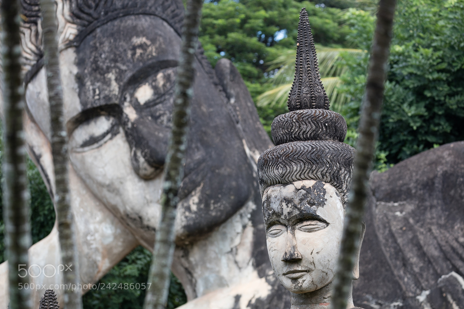 Canon EOS 5DS R sample photo. Wat xieng khuan buddha photography