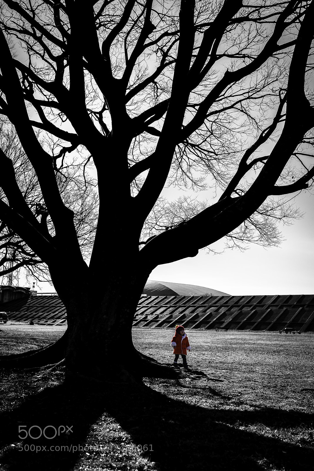 Nikon D610 sample photo. Discover photography
