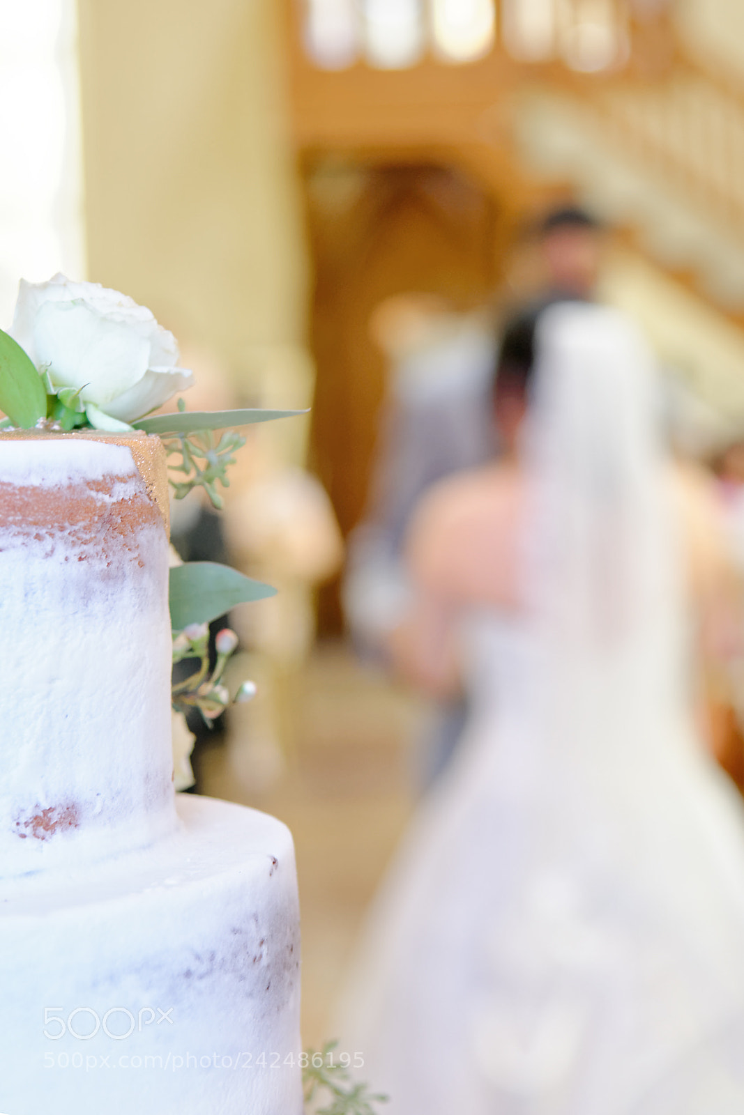 Nikon D800 sample photo. Cake dance? photography