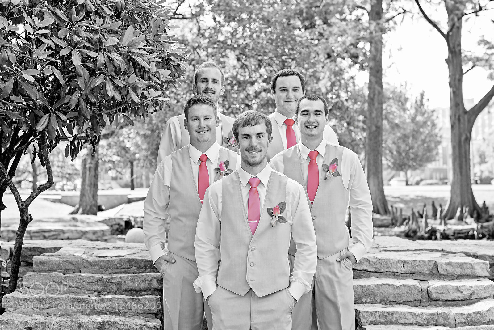 Nikon D800 sample photo. Color me pink photography