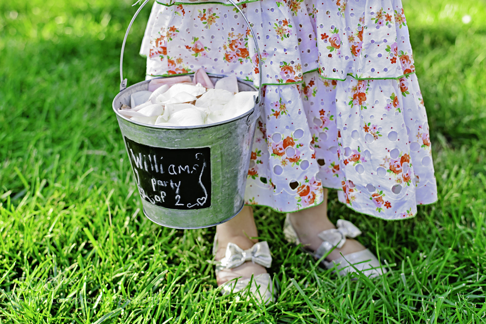 Nikon D800 sample photo. Petal pusher photography