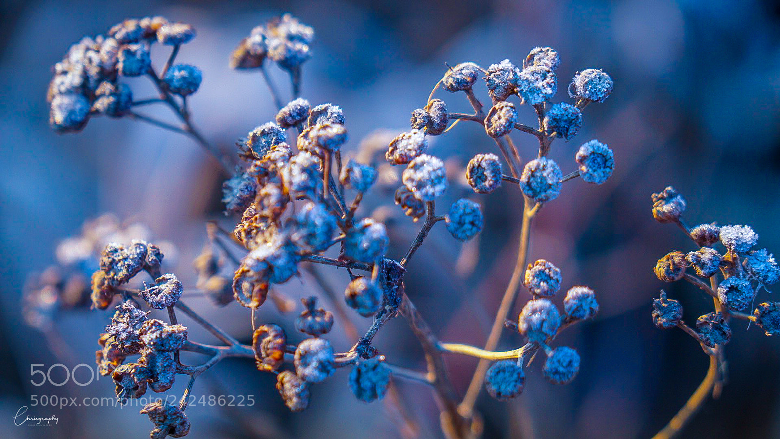 Sony a6500 sample photo. Cold photography