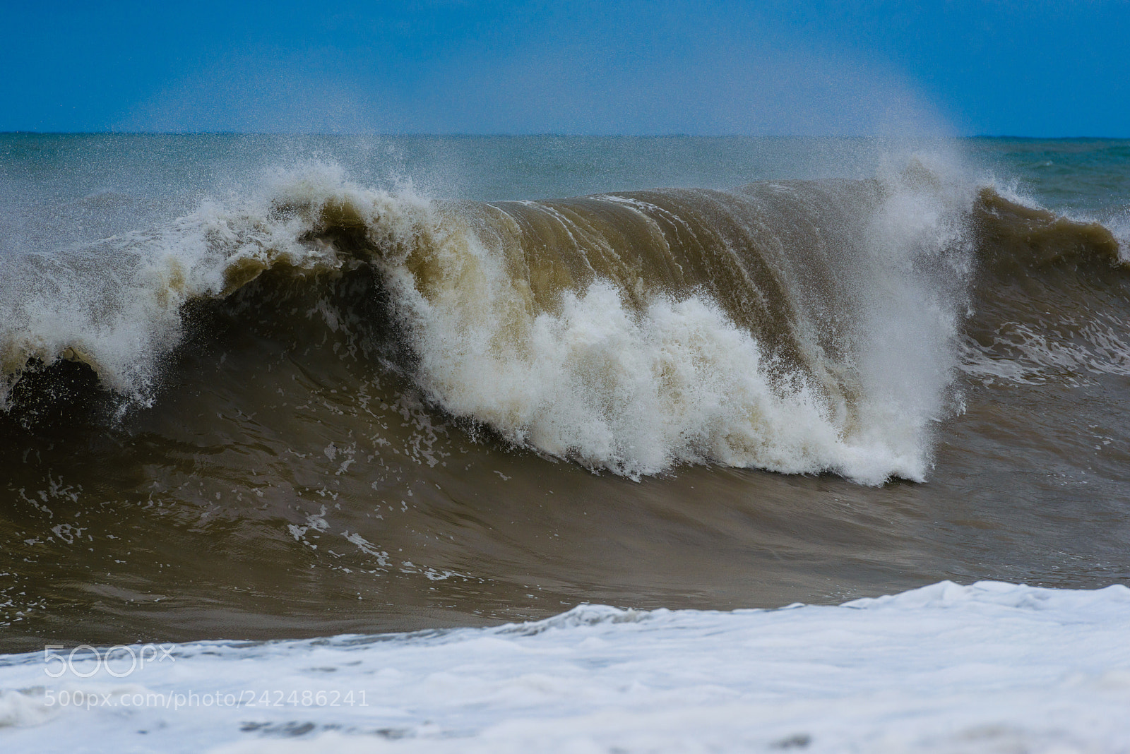 Nikon D800 sample photo. The black sea in photography