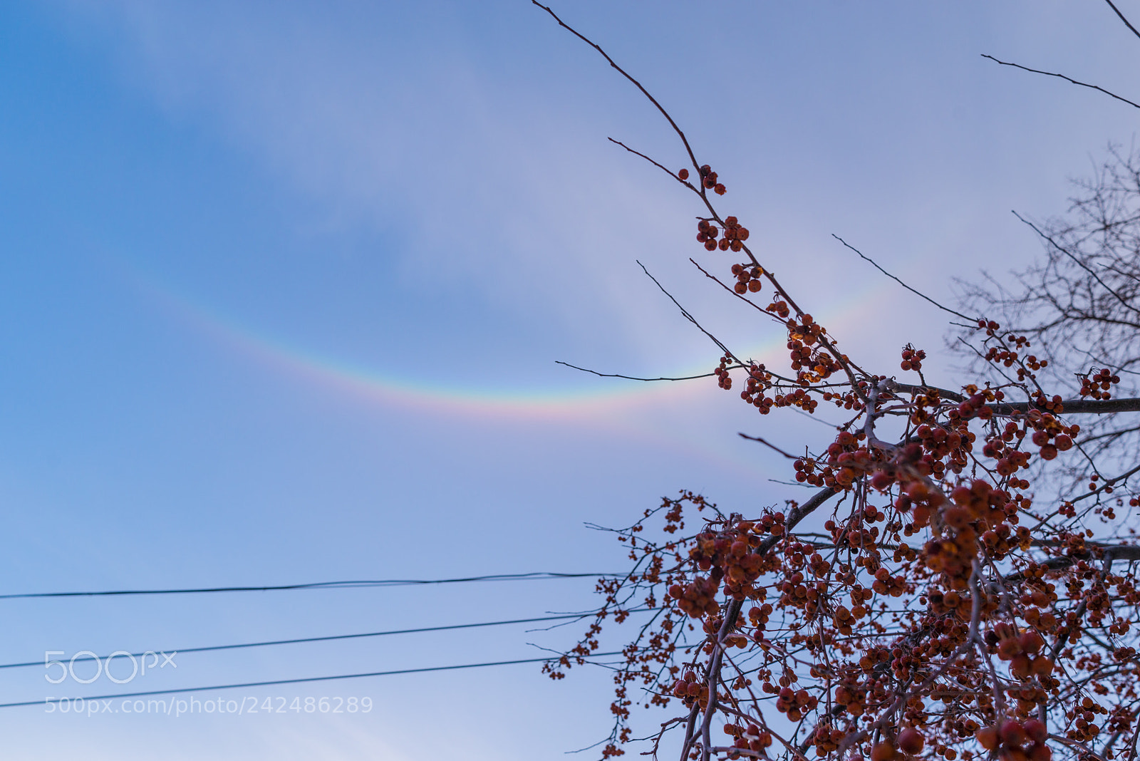 Nikon D610 sample photo. Untitled photography