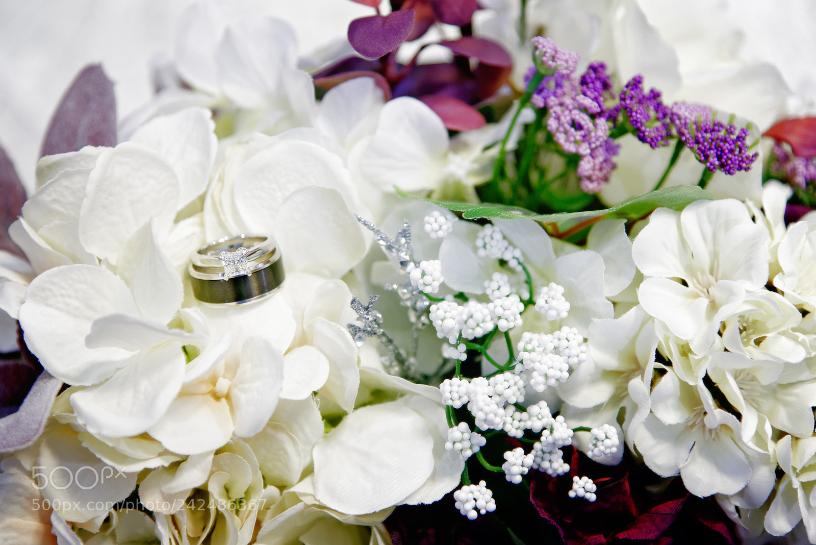 Nikon D800 sample photo. Ring presentation photography