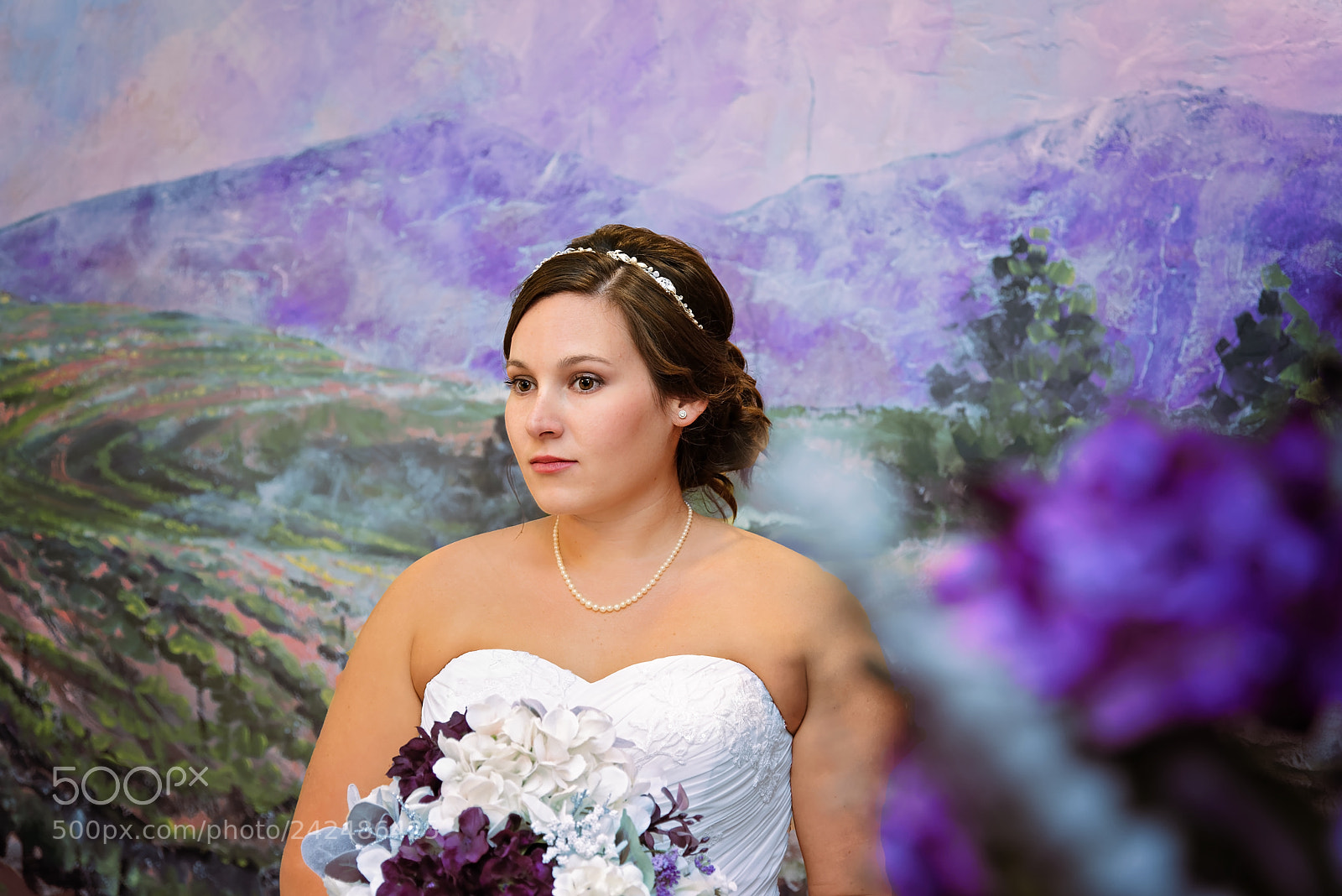 Nikon D800 sample photo. Purple patience photography