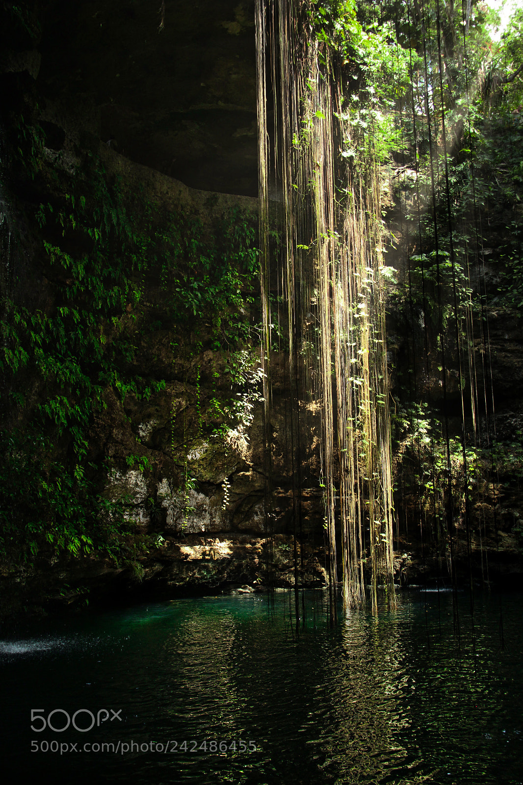 Canon EOS 550D (EOS Rebel T2i / EOS Kiss X4) sample photo. Cenote ik kil photography
