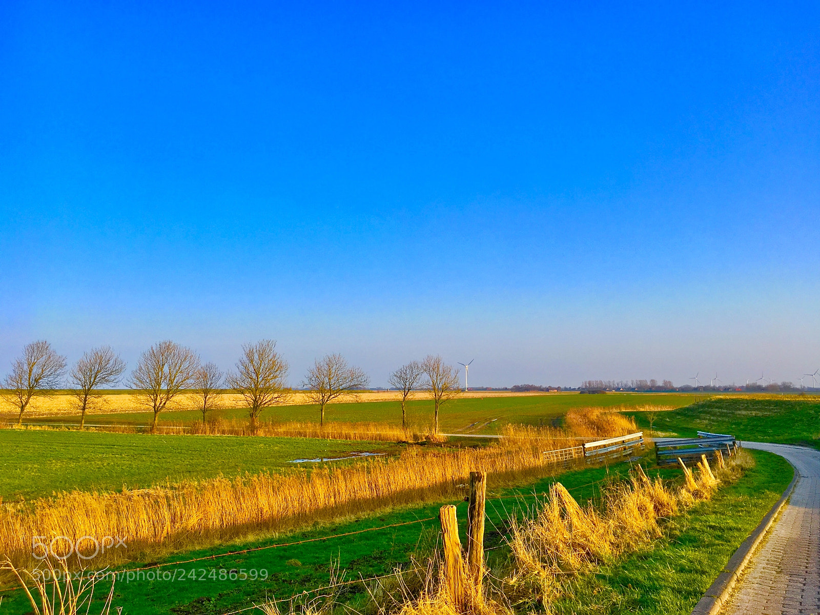 Apple iPhone SE sample photo. Ostfriesland photography