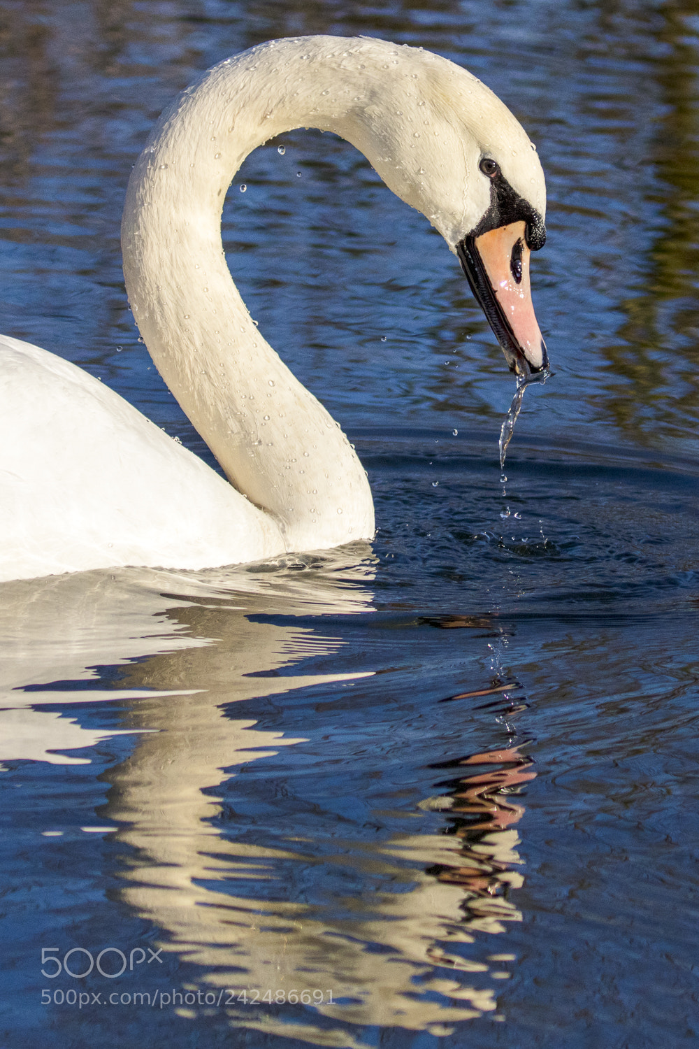 Canon EOS 5DS R sample photo. An der ruhr photography