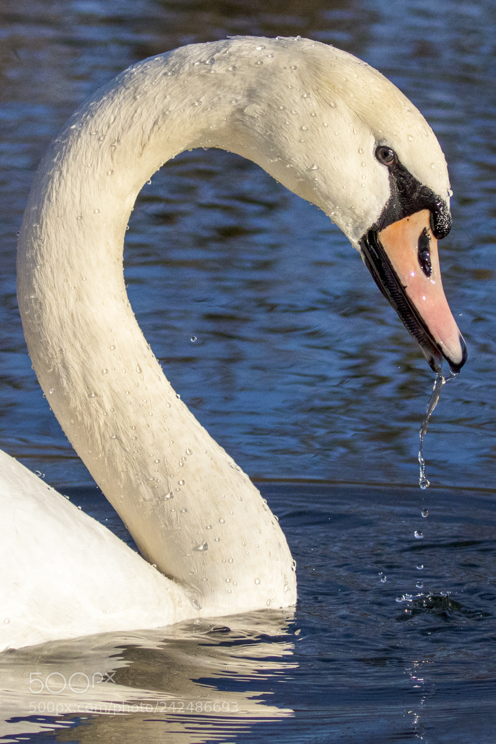 Canon EOS 5DS R sample photo. An der ruhr photography