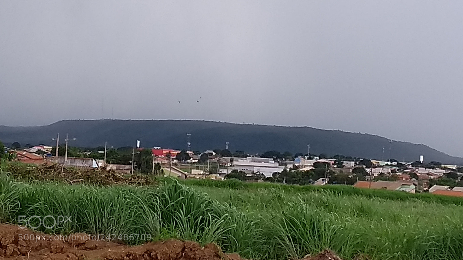 Motorola Moto G (5th Gen) sample photo. Untitled photography