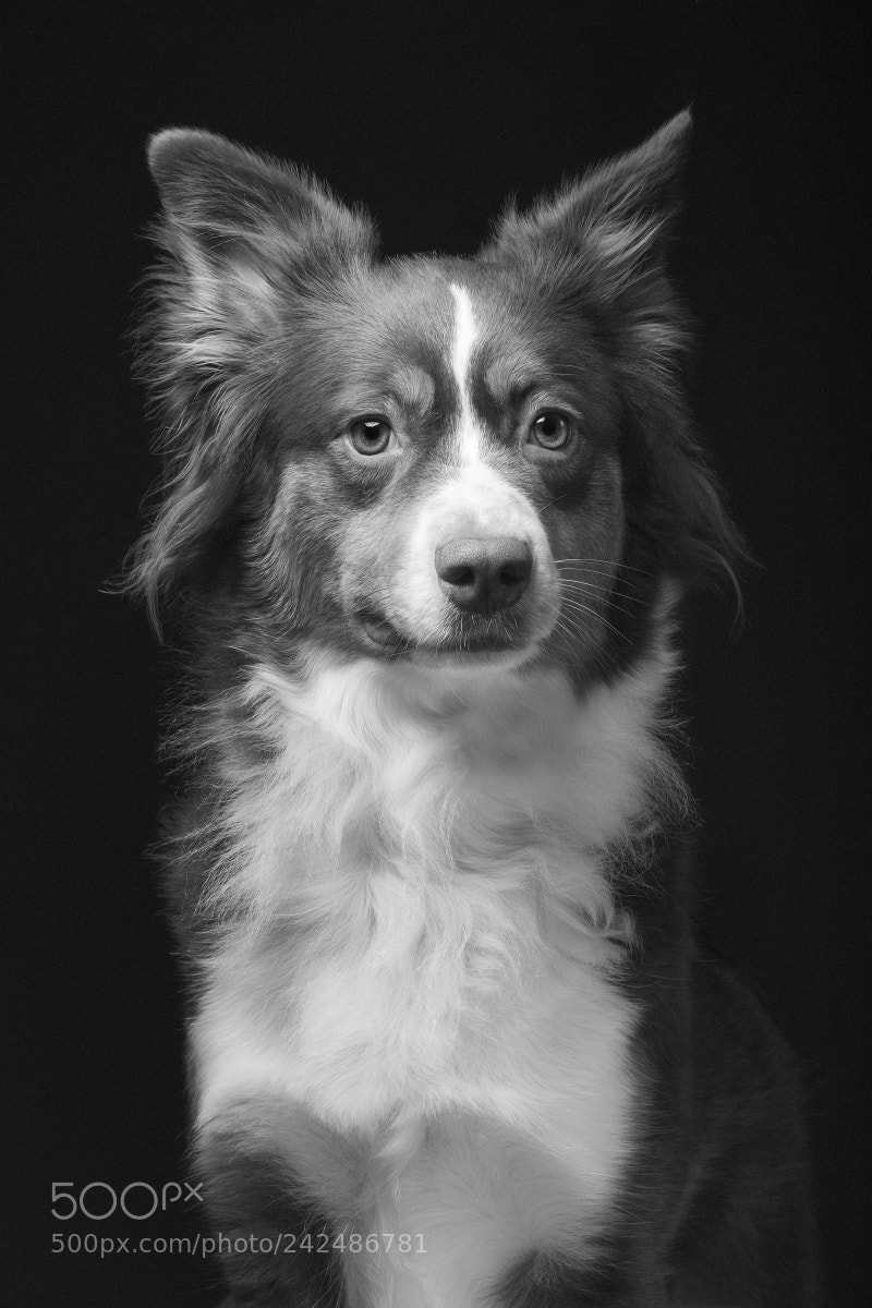 Fujifilm X-T2 sample photo. Gloomy portrait photography
